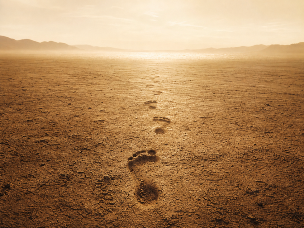 A line of footprints in dust, fading toward a distant horizon